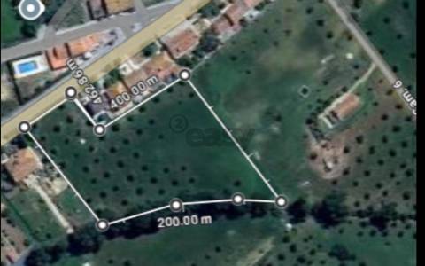 Terreno Urbano com 8400m2 com Olival – Courela da Nascente, Reguengo de São Mateus, Montemor-o-Novo