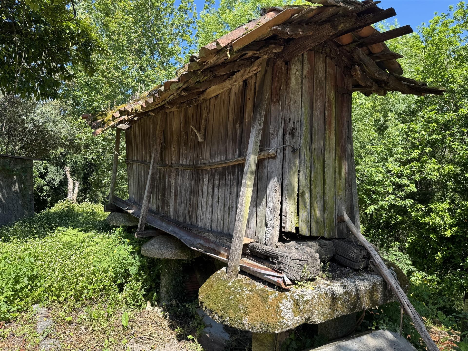 Quintinha T3 Venda em Moimenta,Terras de Bouro