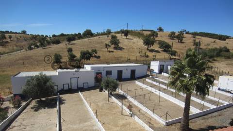Quinta/Herdade em Alqueva para Venda - 785.000,00€