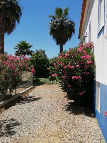 Quinta/Herdade em Alqueva para Venda - 785.000,00€