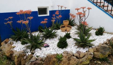 Quinta/Herdade em Alqueva para Venda - 785.000,00€