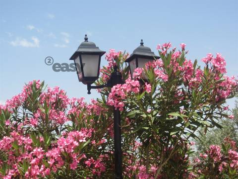 Quinta/Herdade em Alqueva para Venda - 785.000,00€