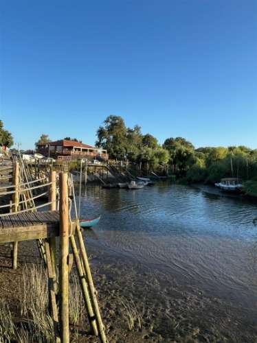 Excelente Moradia com Terreno a 40 min de Lisboa