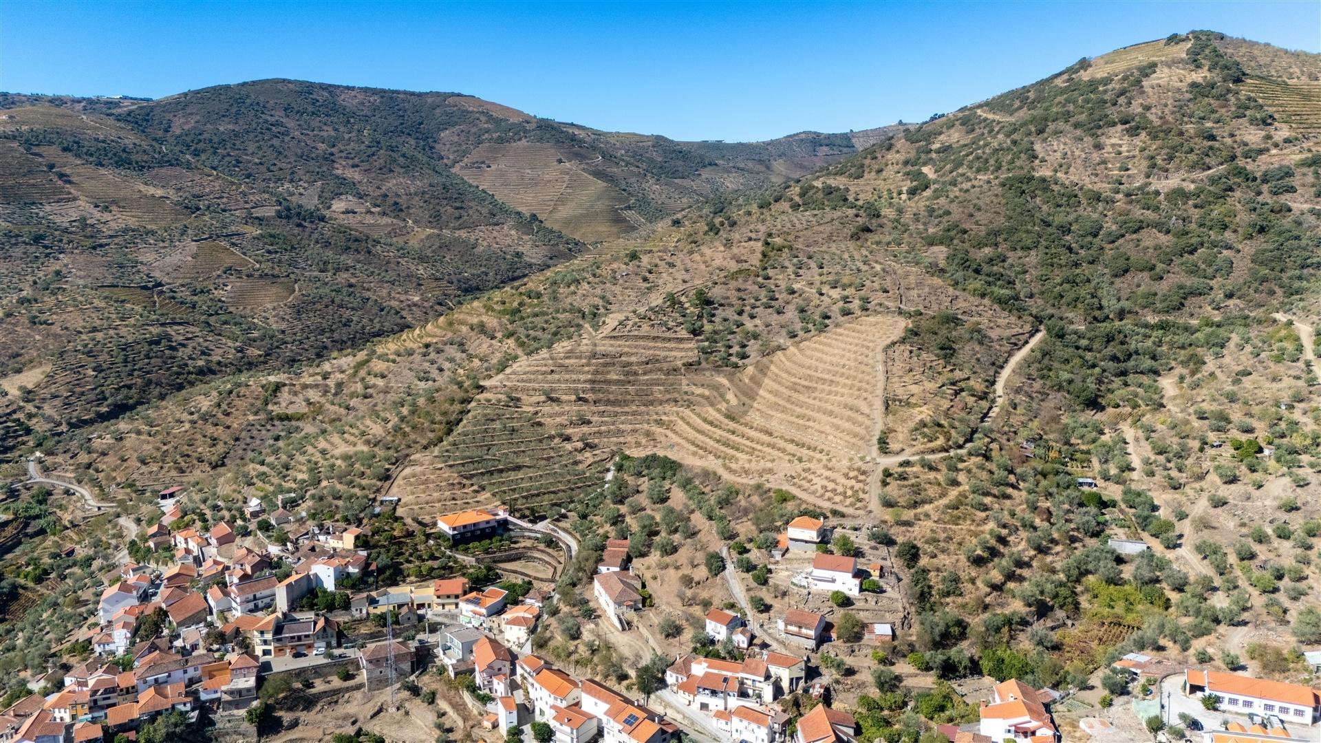 Quinta S. João da Pesqueira