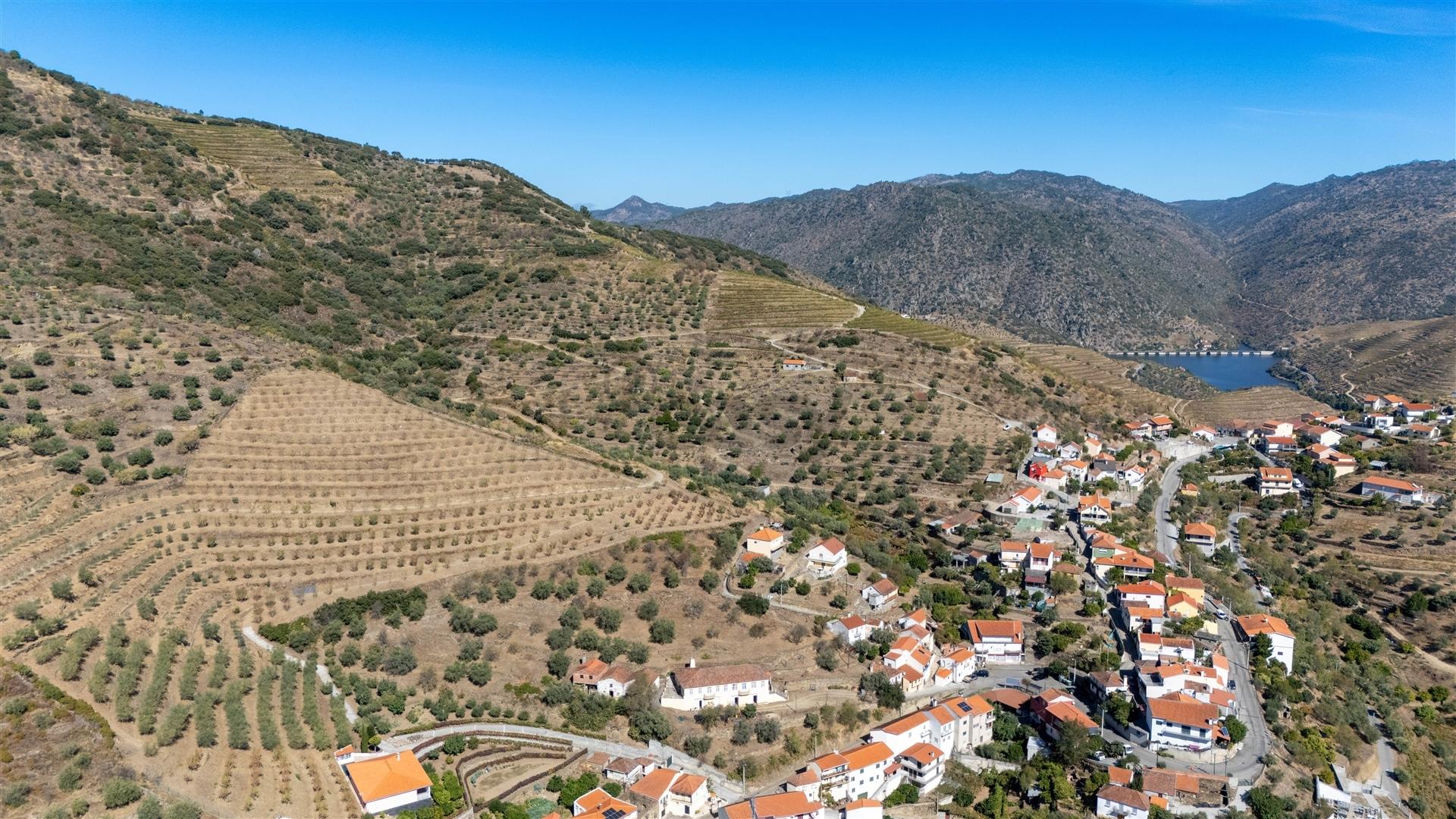 Quinta S. João da Pesqueira