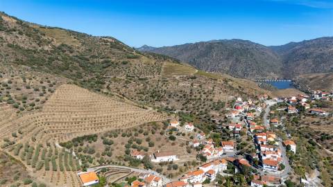 Quinta S. João da Pesqueira