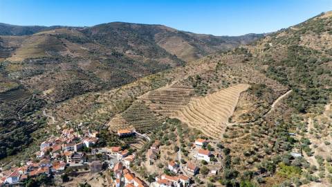 Quinta S. João da Pesqueira