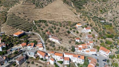 Quinta S. João da Pesqueira
