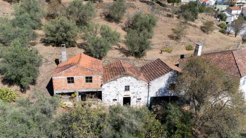 Quinta S. João da Pesqueira