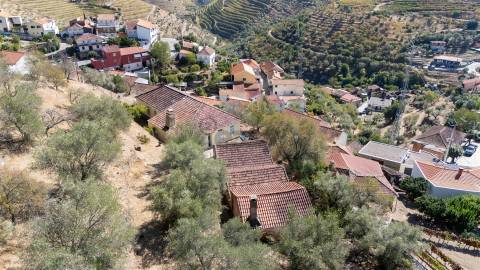 Quinta S. João da Pesqueira