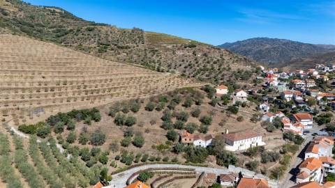 Quinta S. João da Pesqueira