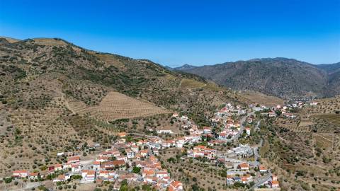 Quinta S. João da Pesqueira