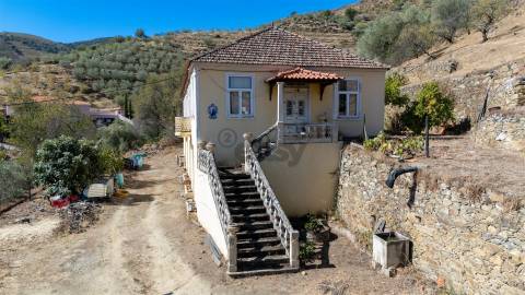 Quinta S. João da Pesqueira