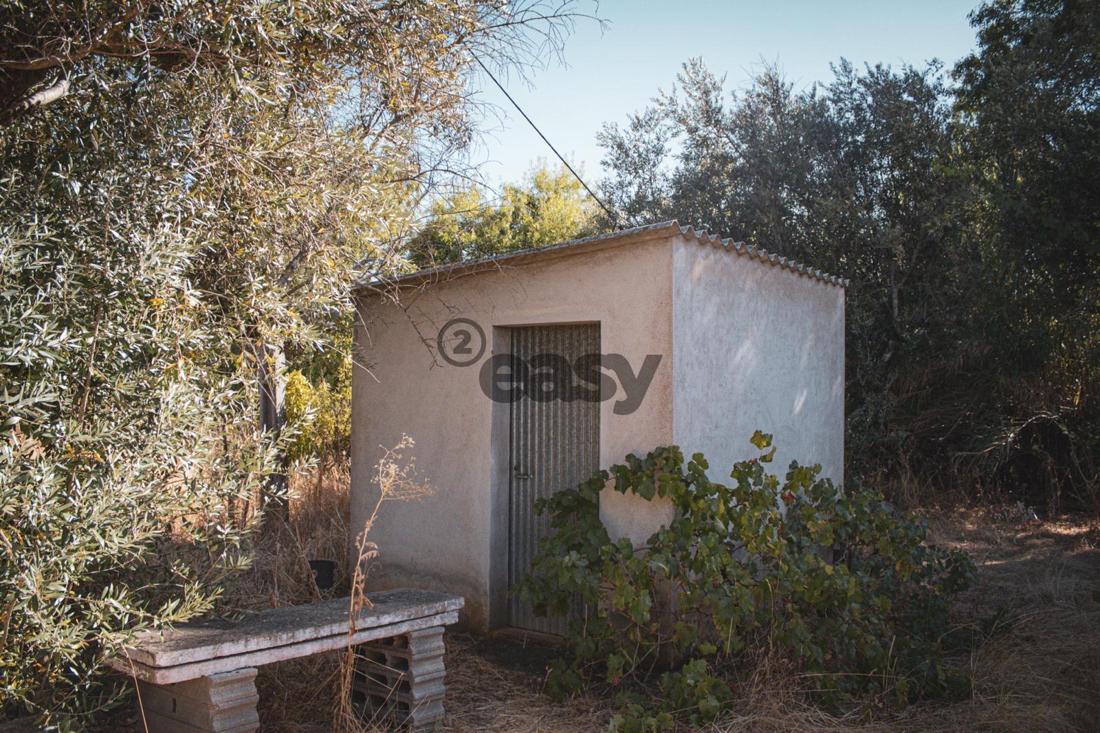 Vende-se Terreno Agrícola na Vidigueira com Vinha e Olival - 27.500,00€