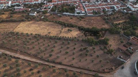 TERRENO MISTO COM 1,65 HA PARA VENDA EM PORTEL