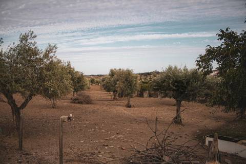 TERRENO MISTO COM 1,65 HA PARA VENDA EM PORTEL