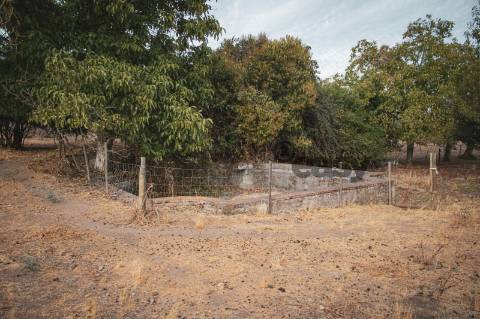 TERRENO MISTO COM 1,65 HA PARA VENDA EM PORTEL