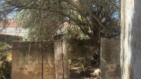 Moradia Senhorial com 18 divisões para remodelar, Castro Verde