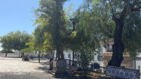 Moradia Senhorial com 18 divisões para remodelar, Castro Verde