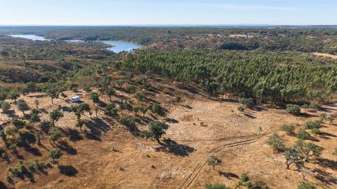 Terreno Misto com 8250m2, possibilidade de casa com 108m2, Abela, Alentejo