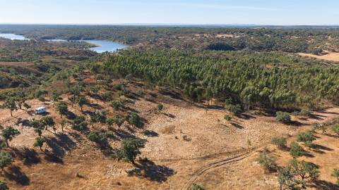 Terreno Misto com 8250m2, possibilidade de casa com 108m2, Abela, Alentejo