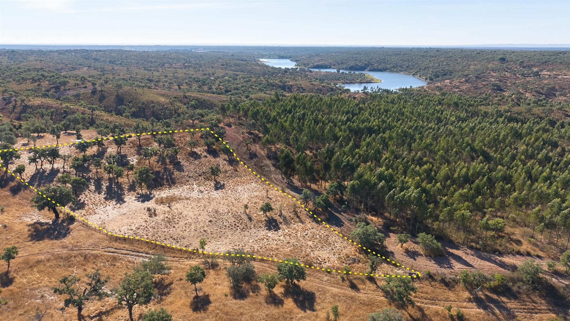 Terreno Misto com 8250m2, possibilidade de casa com 108m2, Abela, Alentejo