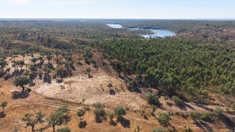 Terreno Misto com 8250m2, possibilidade de casa com 108m2, Abela, Alentejo