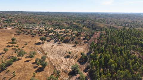 Terreno Misto com 8250m2, possibilidade de casa com 108m2, Abela, Alentejo