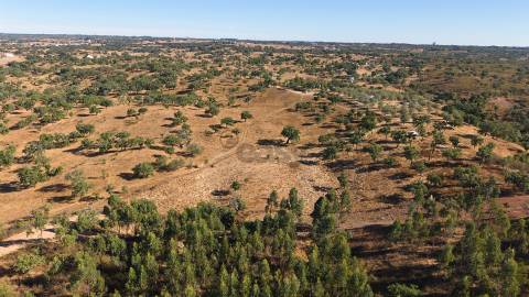 Terreno Misto com 8250m2, possibilidade de casa com 108m2, Abela, Alentejo