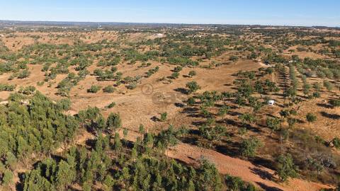 Terreno Misto com 8250m2, possibilidade de casa com 108m2, Abela, Alentejo