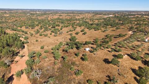 Terreno Misto com 8250m2, possibilidade de casa com 108m2, Abela, Alentejo