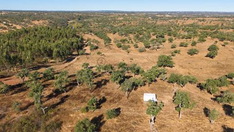 Terreno Misto com 8250m2, possibilidade de casa com 108m2, Abela, Alentejo