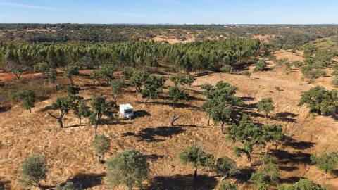 Terreno Misto com 8250m2, possibilidade de casa com 108m2, Abela, Alentejo