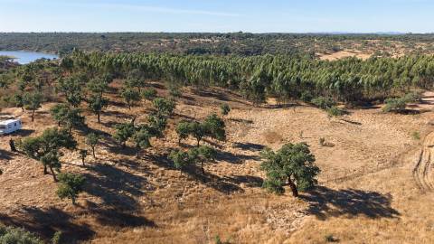 Terreno Misto com 8250m2, possibilidade de casa com 108m2, Abela, Alentejo