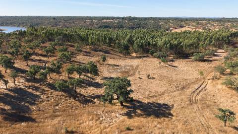 Terreno Misto com 8250m2, possibilidade de casa com 108m2, Abela, Alentejo