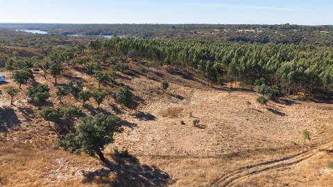 Terreno Misto com 8250m2, possibilidade de casa com 108m2, Abela, Alentejo