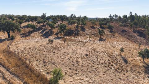Terreno Misto com 8250m2, possibilidade de casa com 108m2, Abela, Alentejo