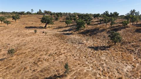 Terreno Misto com 8250m2, possibilidade de casa com 108m2, Abela, Alentejo