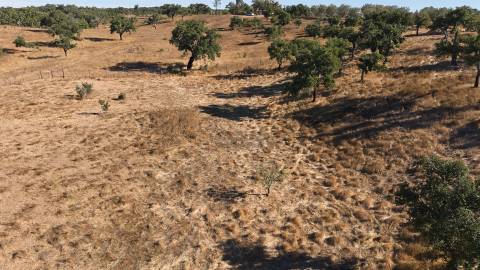 Terreno Misto com 8250m2, possibilidade de casa com 108m2, Abela, Alentejo
