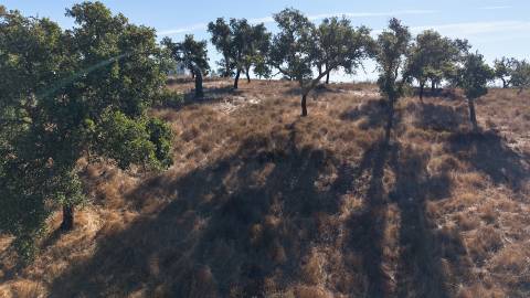 Terreno Misto com 8250m2, possibilidade de casa com 108m2, Abela, Alentejo