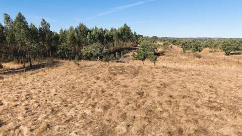 Terreno Misto com 8250m2, possibilidade de casa com 108m2, Abela, Alentejo