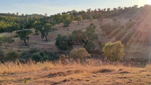 TERRENO RÚSTICO COM 6,82 Hectares em Alqueva com Ruína e Poço