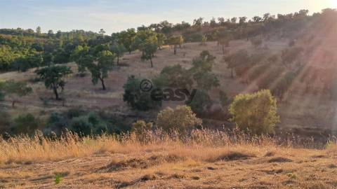 TERRENO RÚSTICO COM 6,82 Hectares em Alqueva com Ruína e Poço