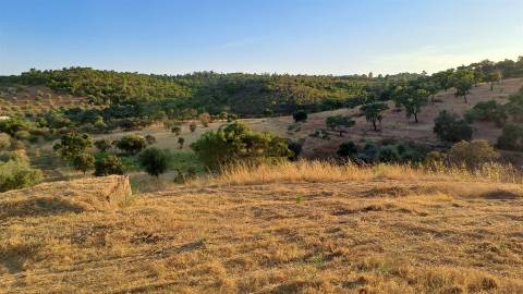 TERRENO RÚSTICO COM 6,82 Hectares em Alqueva com Ruína e Poço