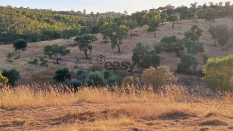 TERRENO RÚSTICO COM 6,82 Hectares em Alqueva com Ruína e Poço