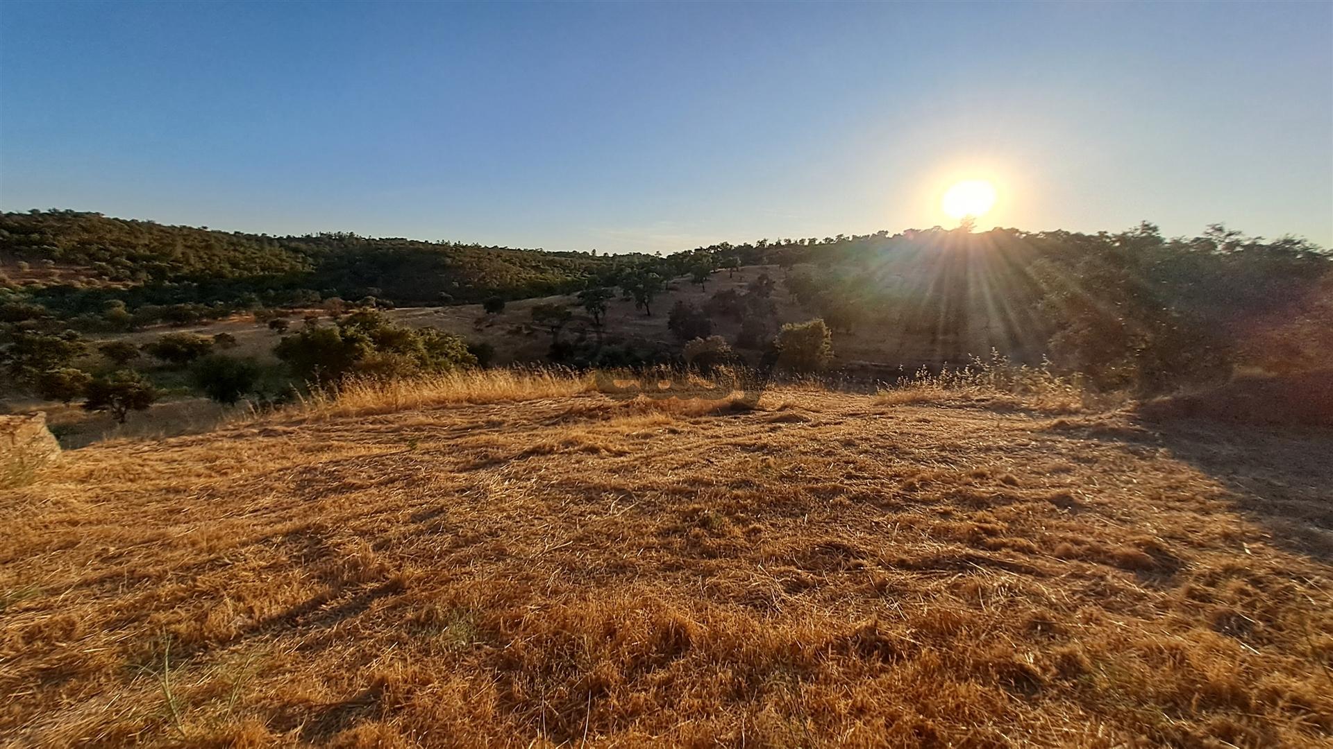 TERRENO RÚSTICO COM 6,82 Hectares em Alqueva com Ruína e Poço