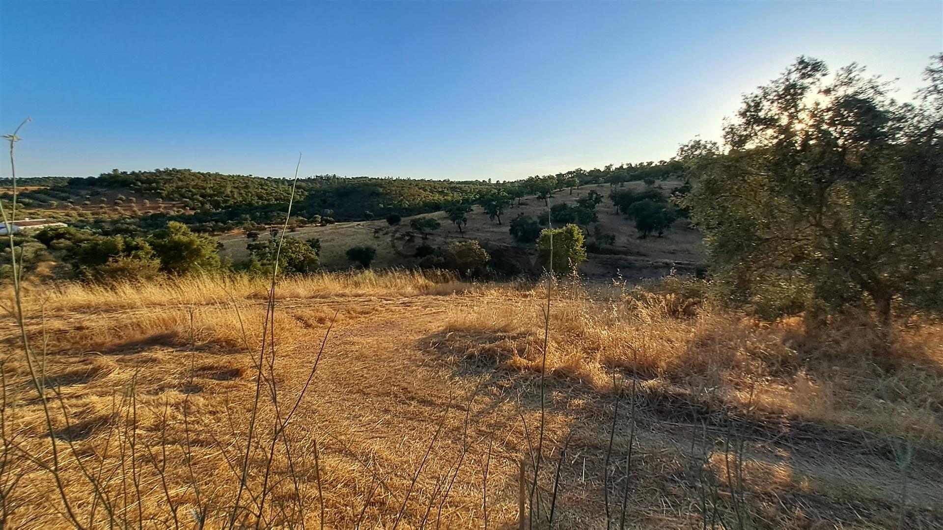 TERRENO RÚSTICO COM 6,82 Hectares em Alqueva com Ruína e Poço