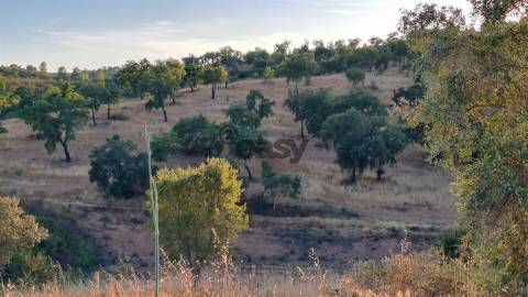 TERRENO RÚSTICO COM 6,82 Hectares em Alqueva com Ruína e Poço