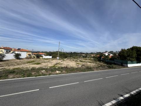 Terreno para Construção - Oliveira do Hospital
