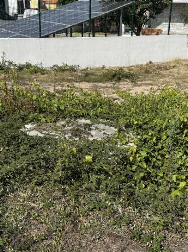 Terreno para Construção - Oliveira do Hospital